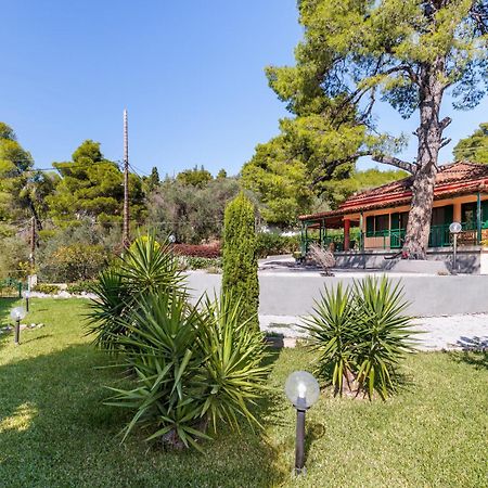 Skopelos Country House Diamantis & Chrisi Agnontas Экстерьер фото