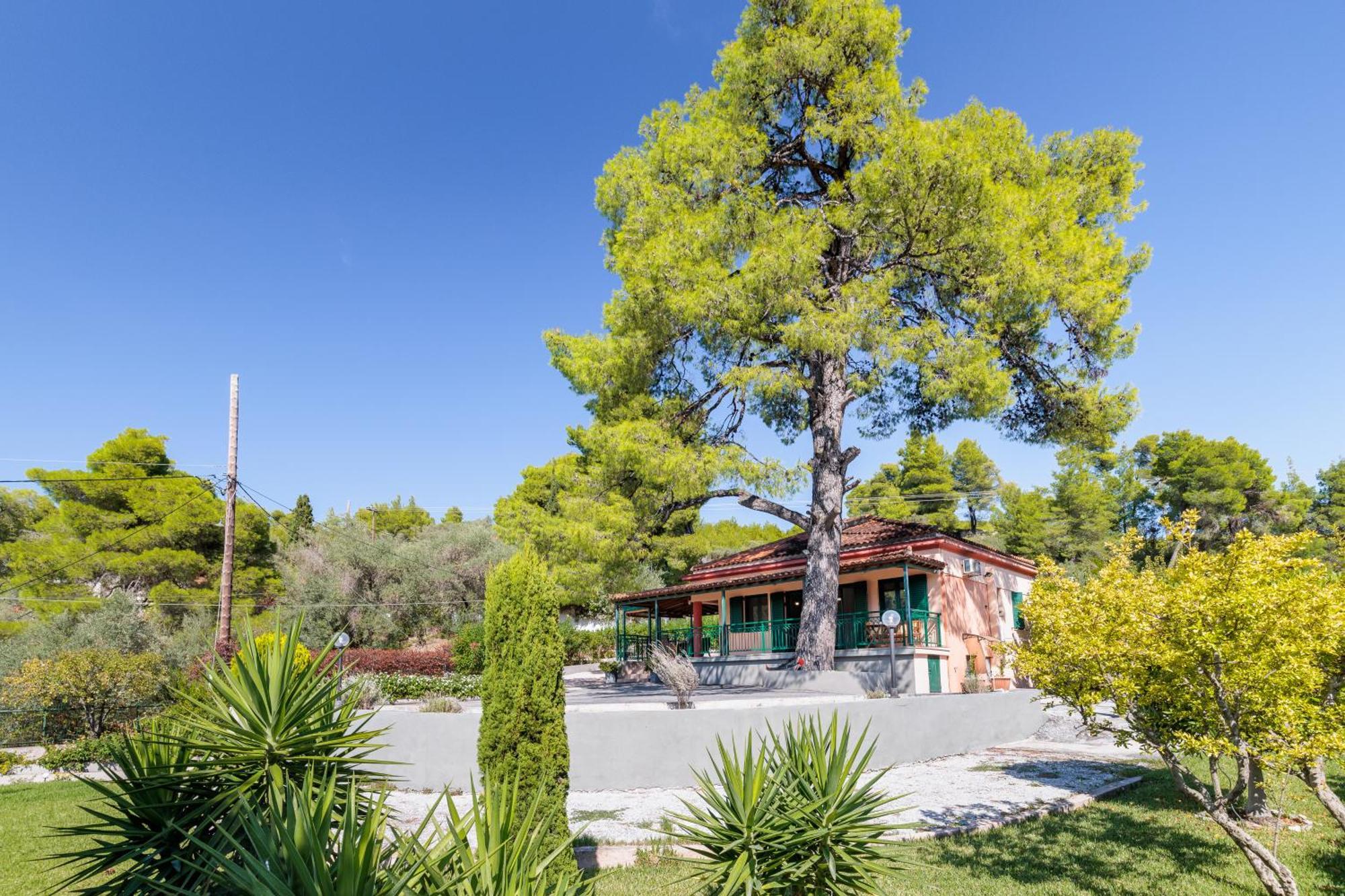 Skopelos Country House Diamantis & Chrisi Agnontas Экстерьер фото